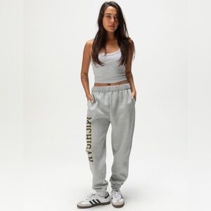 Champion Michigan Gray and Gold sweatpants relaxed fit size s NWOT